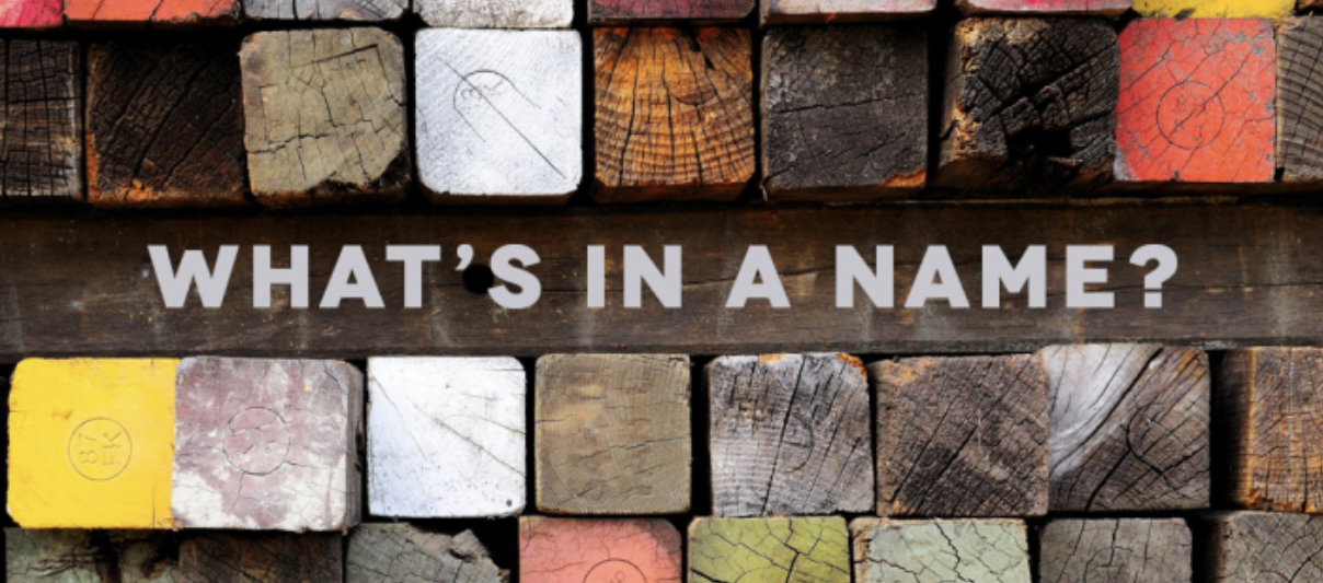 What's in a Name? - Your Bible Study Buddy