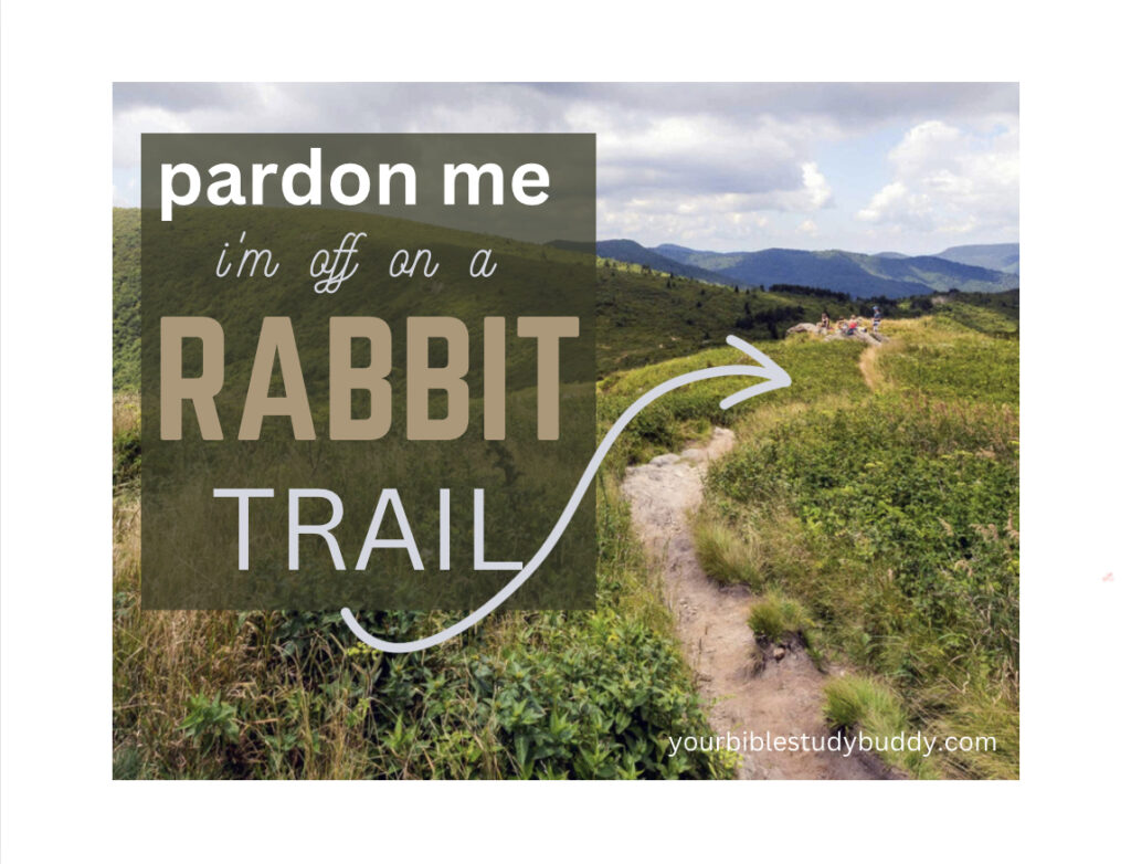 Rabbit Trails - Your Bible Study Buddy