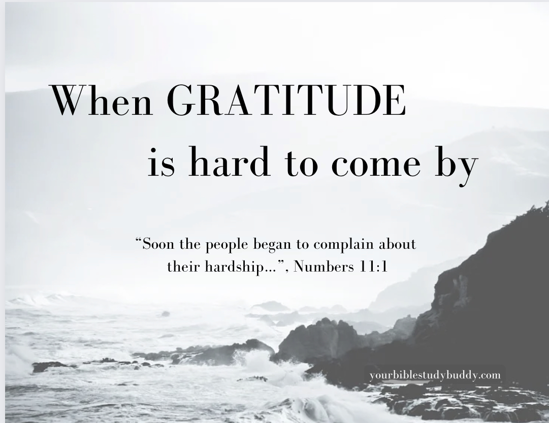 When Gratitude is Hard to Come By - Your Bible Study Buddy