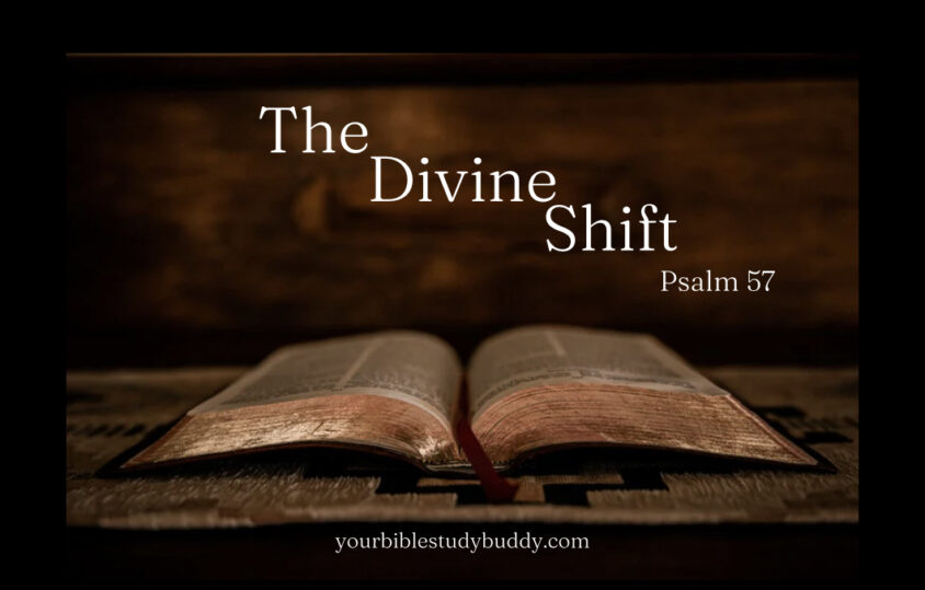 The Divine Shift Your Bible Study Buddy