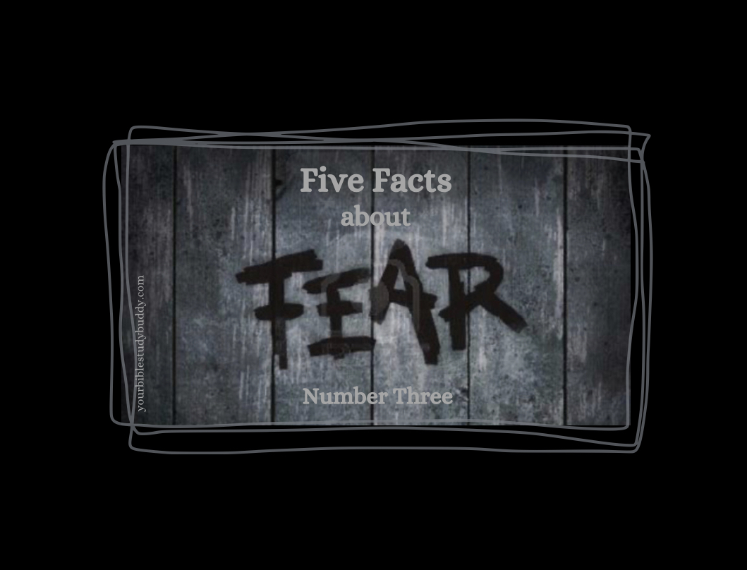 Facts about Fear, Number Three Your Bible Study Buddy